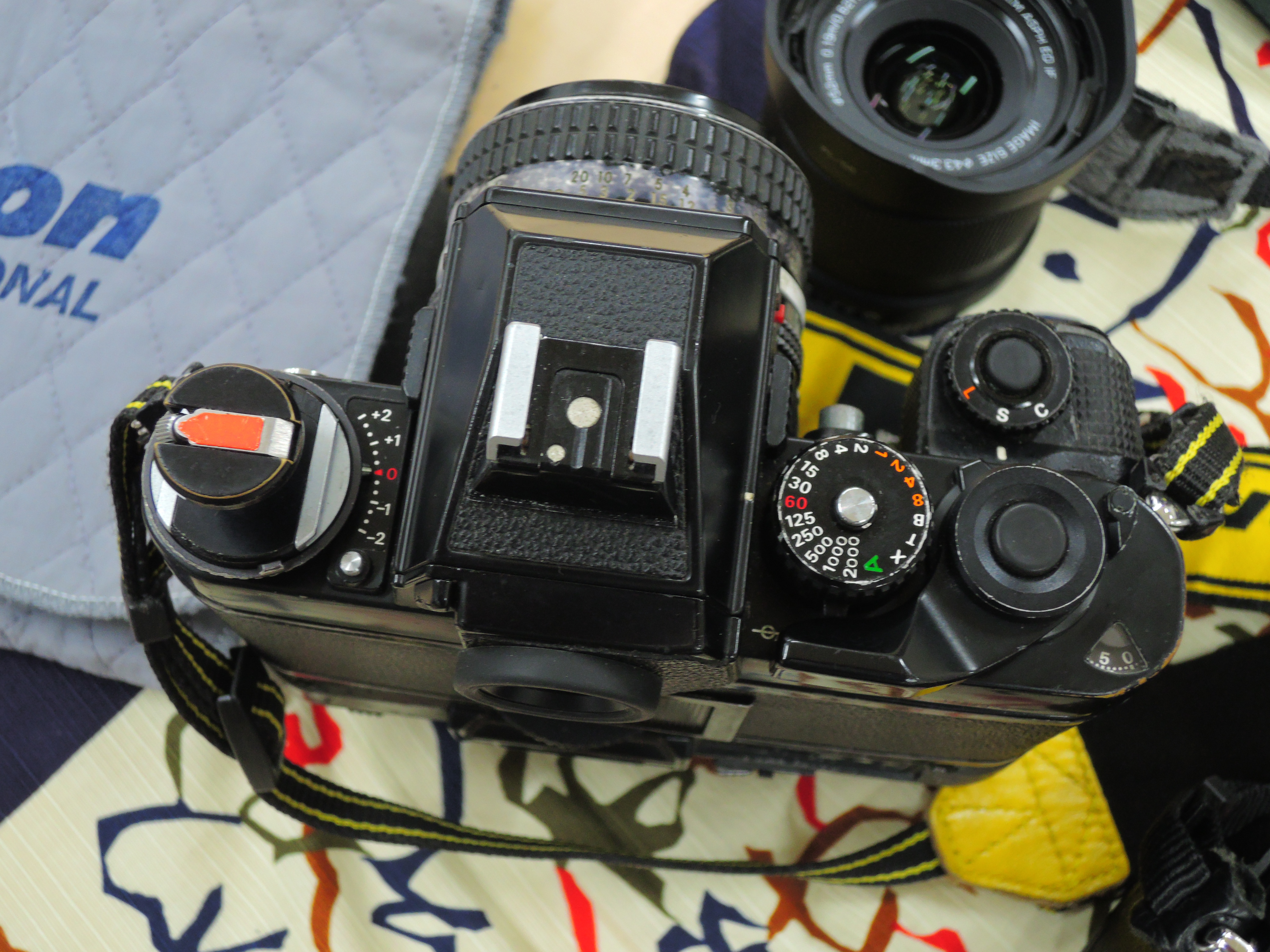 April 2024, Nikon Kenkyukai