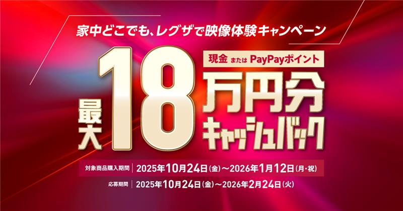 とにかく長い渡部の残業　東芝REGZAレグザ　49C310X　ジャンク とにかく長い渡部の残業様専用 東芝REGZAレグザ 49C310X ジャンク
