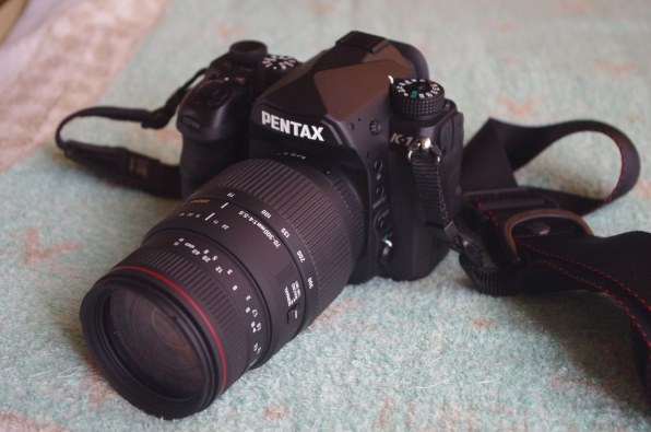 シグマ APO 70-300mm F4-5.6 DG MACRO (ﾍﾟﾝﾀｯｸｽ AF)投稿画像・動画