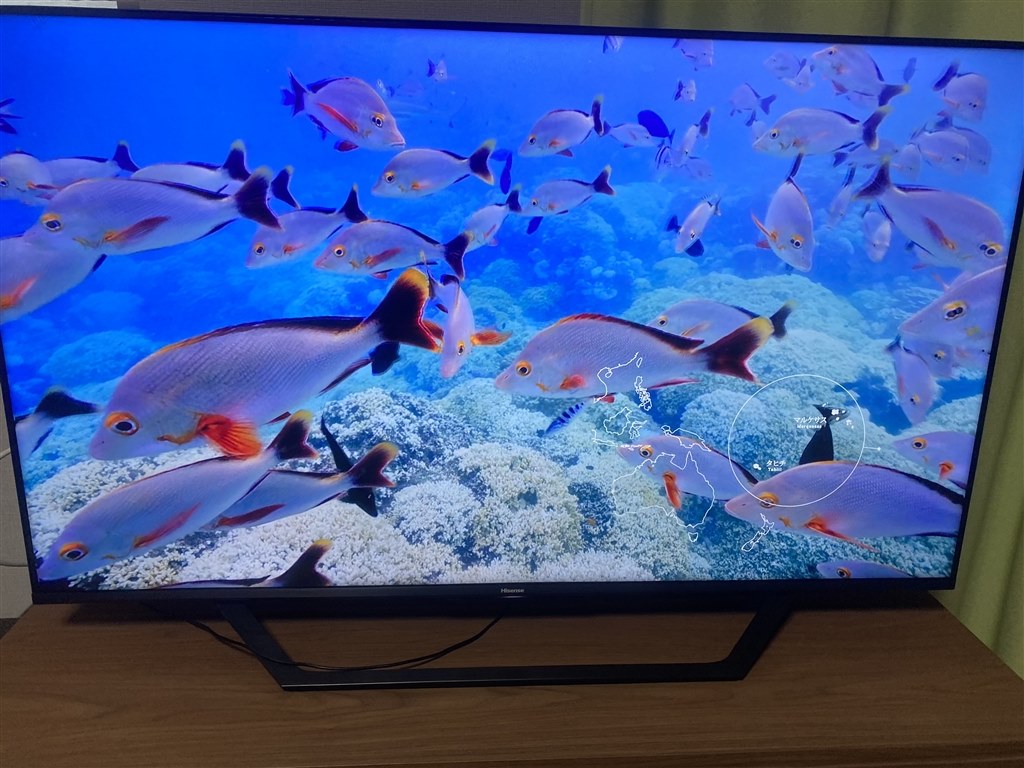 初レビュー‼』 ハイセンス 50U7F [50インチ] まこささんの