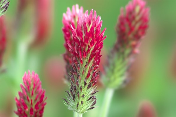 SONY 135mm F2.8 [T4.5] STF SAL135F28 価格比較 - 価格.com