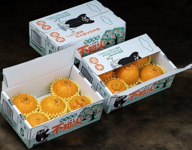 3箱】『しらぬひ』 熊本県産 約1.5kg×3箱 合計約4.5kg（1箱：5～6玉