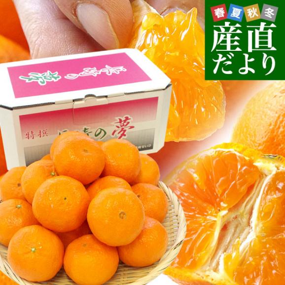 長崎県より産地直送 JA長崎せいひ 津之輝(つのかがやき) 3LからLサイズ