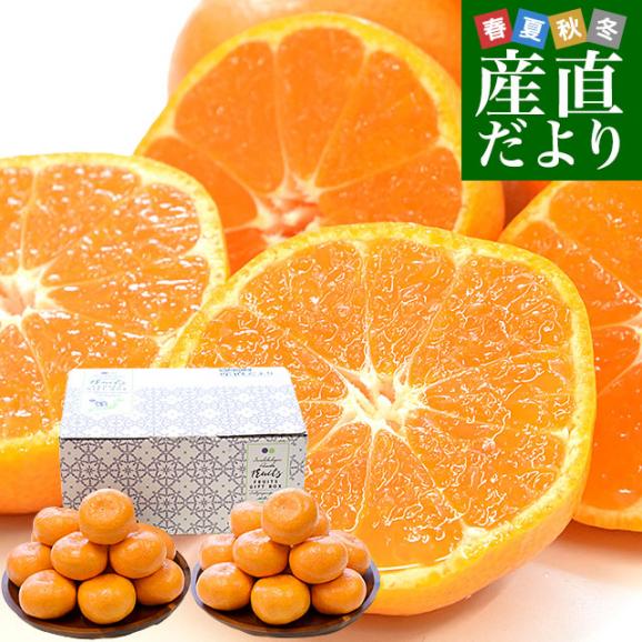 愛知県産 蒲郡温室みかん MからSサイズ 約2.4キロ(1.2キロ×2) 送料無料