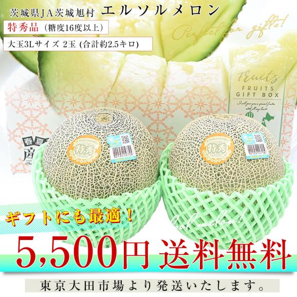 茨城県産 JA茨城旭村 エルソルメロン 特秀品 大玉3Lサイズ 2玉（合計約