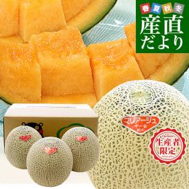 熊本県から産地直送 十一会組合 マリアージュメロン 秀品 大玉3Lから4L