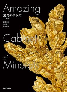 ゲーテ形態学論集・植物篇 - 実用 ゲーテ/木村直司（ちくま学芸文庫