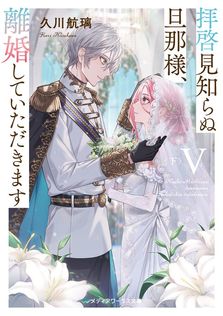 小説 仮面ライダーW ～Zを継ぐ者～ - 文芸・小説 三条陸/石ノ森
