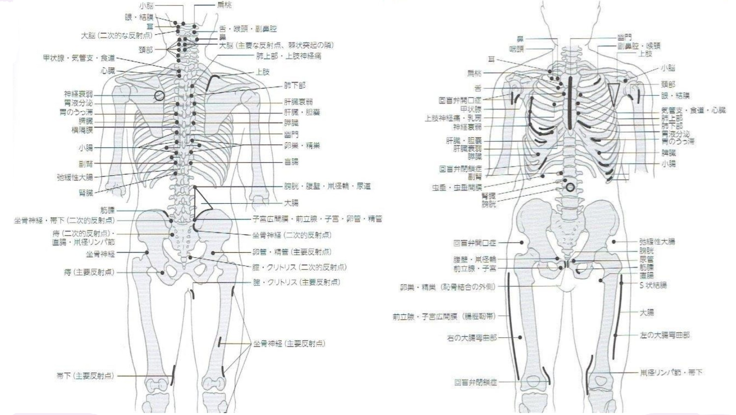 神経リンパ反射療法を中心に身体と自律神経を整える整体｜新リンパ
