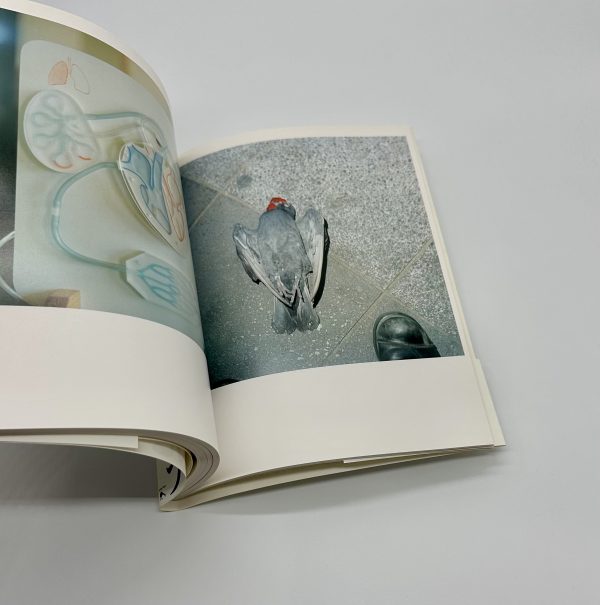 川内倫子いきなり三部作 うたたね 花火 花子 3冊揃 - りーちあーと