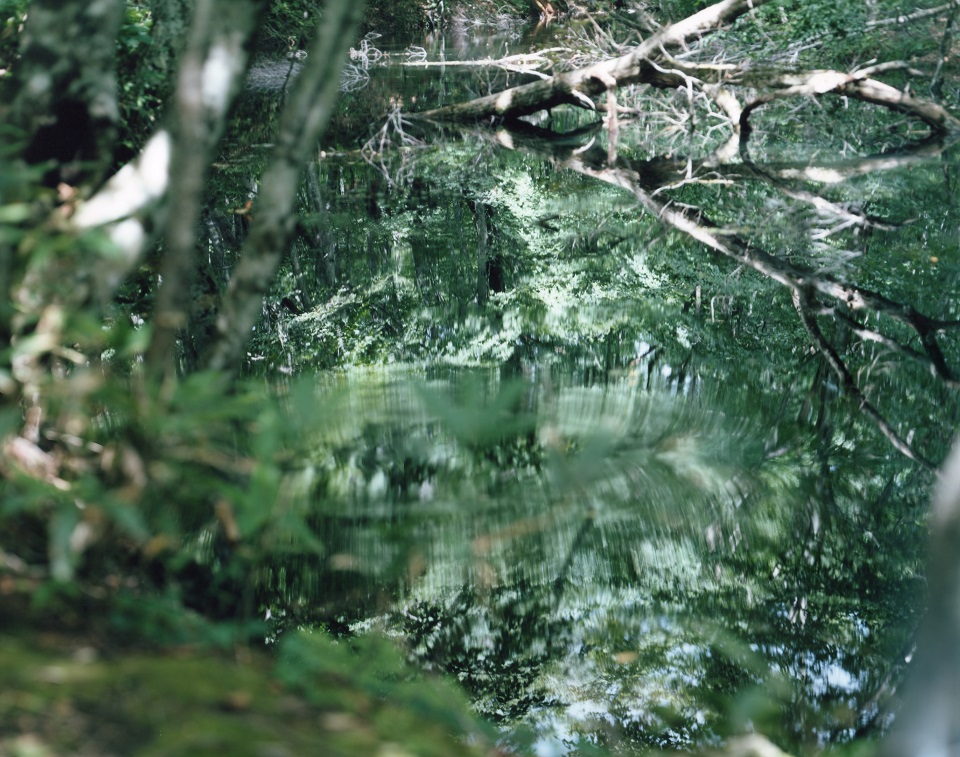 水鏡 | 鈴木理策 | Risaku Suzuki | 鈴木理策 | Risaku Suzuki