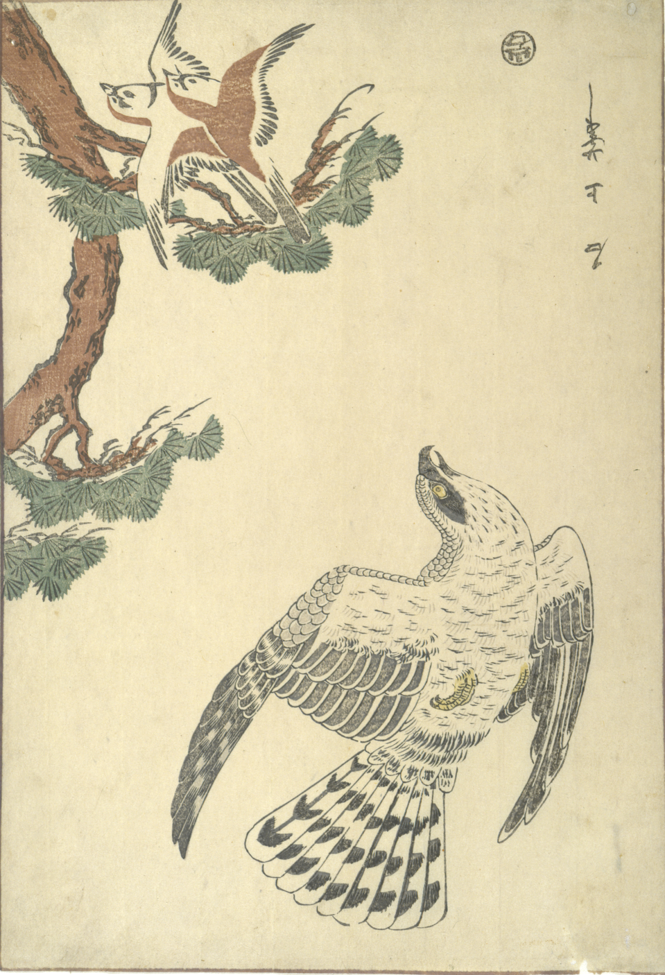 Collection | RISD Museum