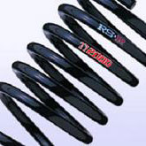 Espelir Super Downsus Springs - Rising Sun Autosports