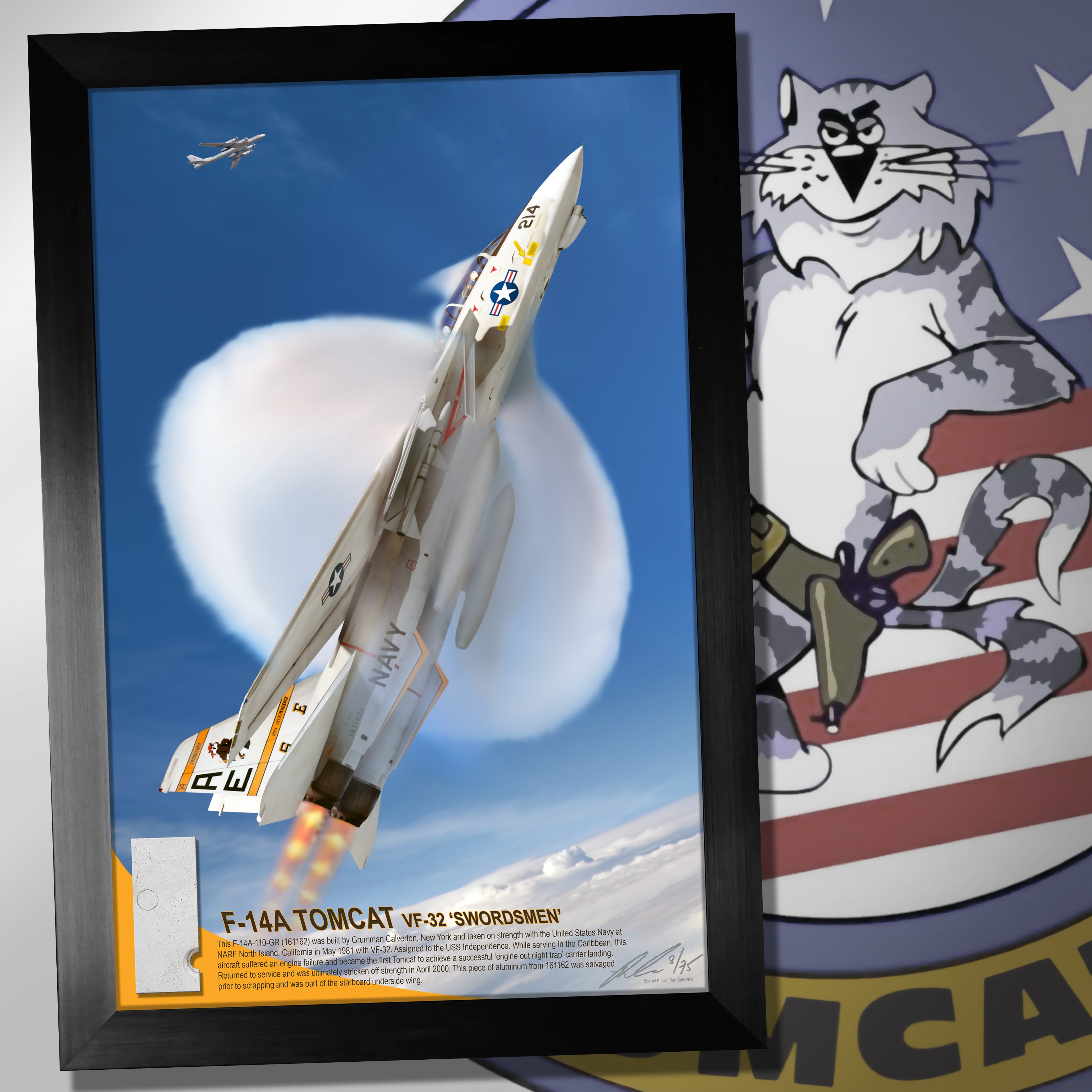 F-14 Tomcat (BuNo 161162) VF-32 'Swordsmen' Aluminum Skin Relic Displa