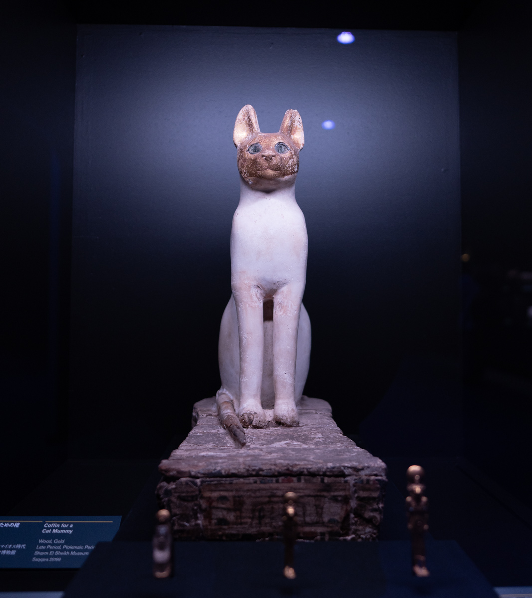 付録) 【政府公認】「ACN ラムセス大王展 ファラオたちの黄金」がヤバ