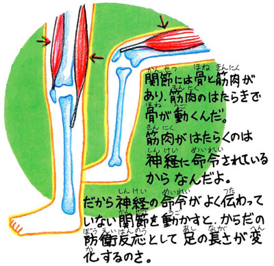 うつ病を根本的に治療し治すためには、脳と神経専門の当院へ