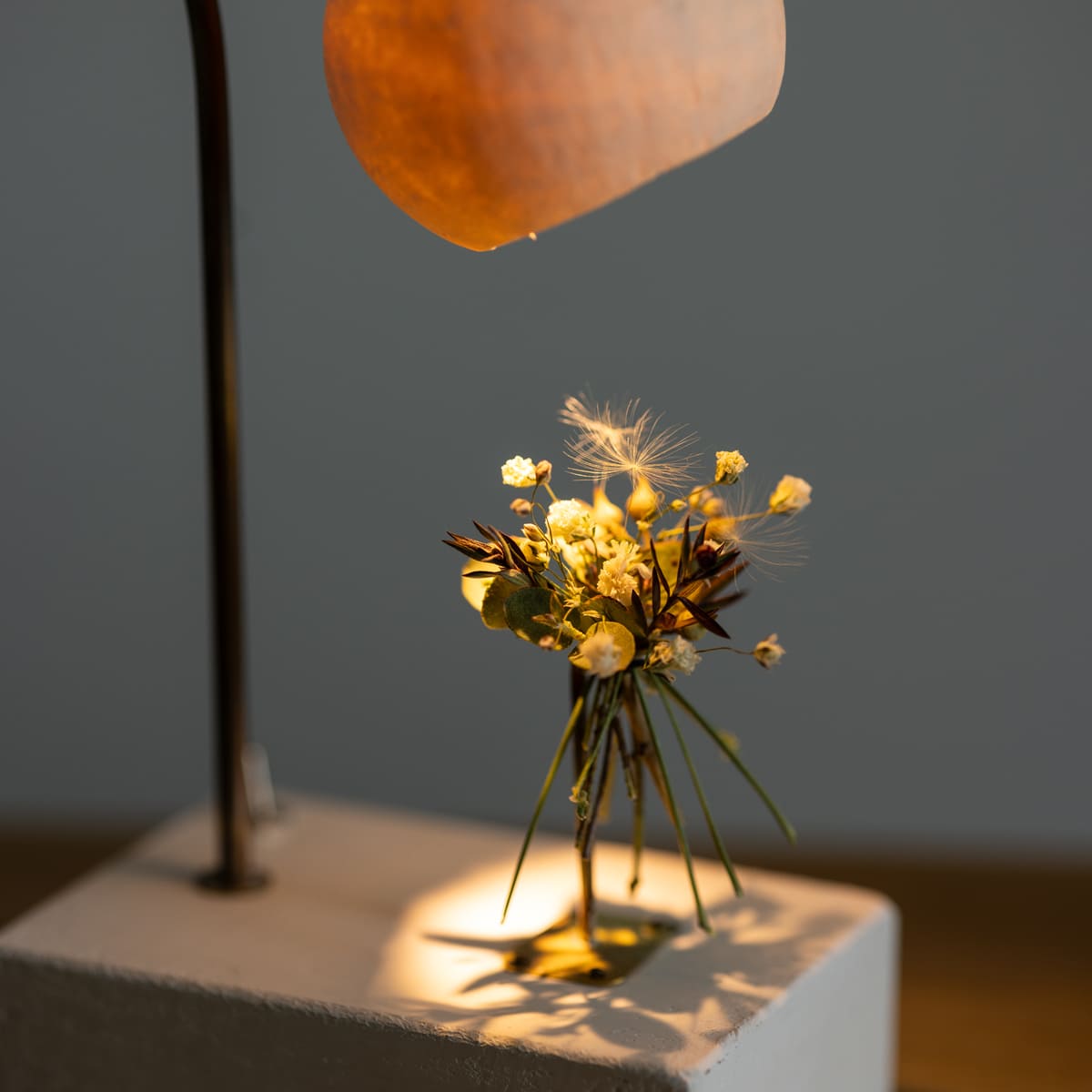 はいいろオオカミ＋花屋 西別府商店 森の小さな灯 | 石田ゆり子さんが