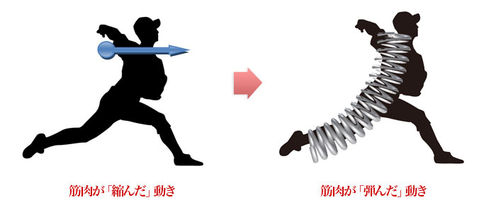 池上信三の「バネトレ」～野球センスを向上させる方法～
