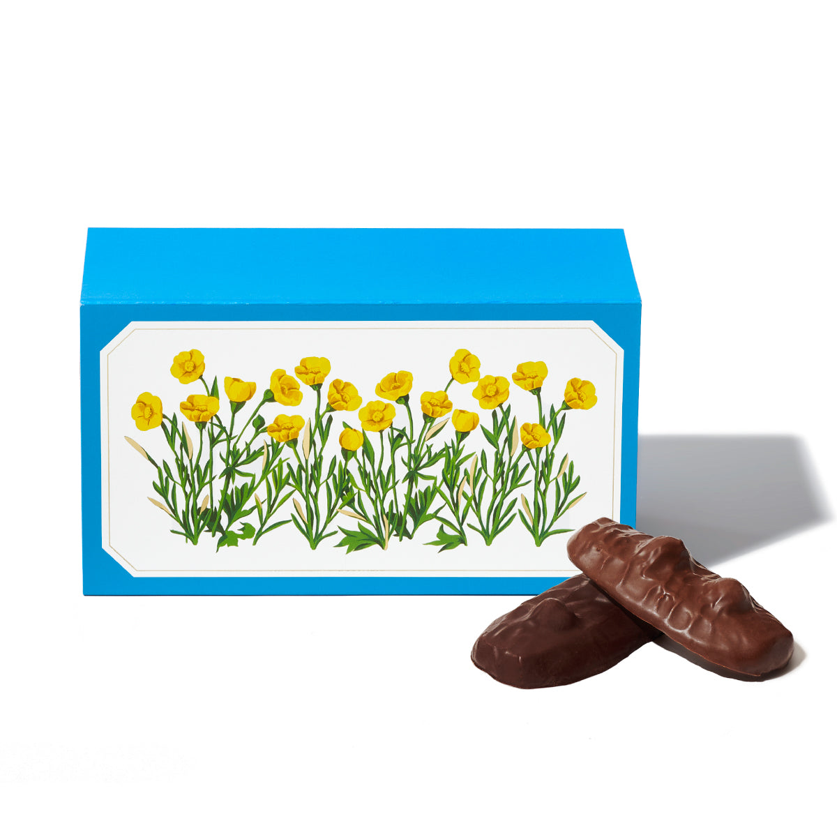 ショコラサブレ 16枚入 – ルル メリーオンラインストア