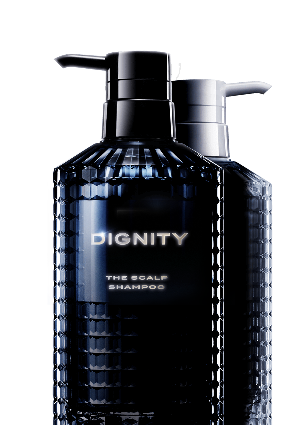 スカルプD最高峰ライン スカルプD ディグニティ | スカルプD公式サイト