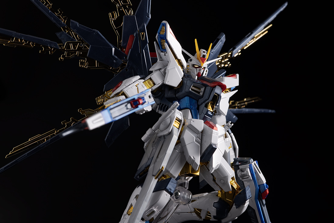 RG ストライクフリーダムガンダム[チタニウムフィニッシュ] レビュー