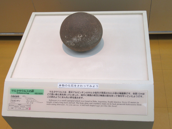 7月, 2022 - 『科学館日記』