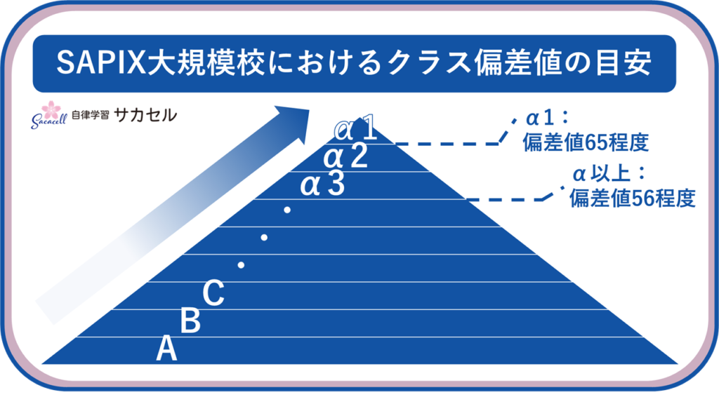 SAPIXのコース(クラス)の仕組みとは?