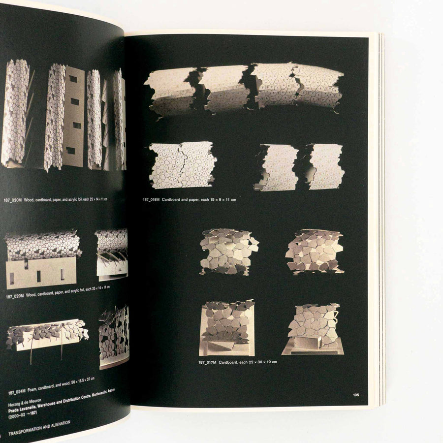 HERZOG & DE MEURON | Natural History – Saint Page