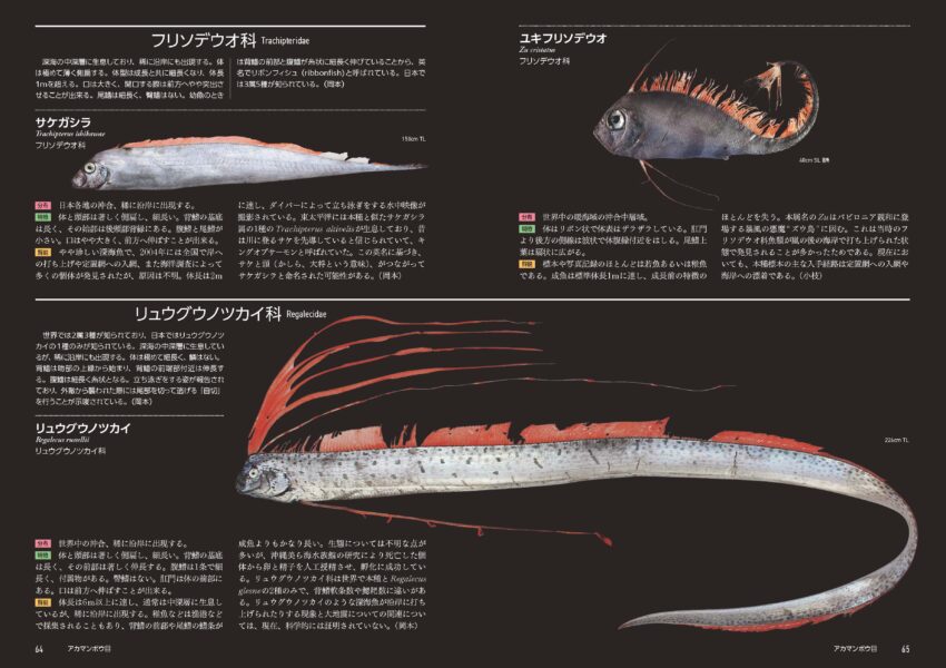 ここでしか聞けないディープな深海魚の話？ 『日本の深海魚図鑑』著者