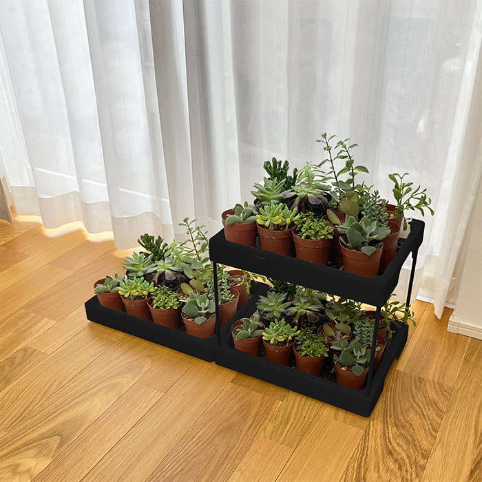 多肉マンション｜種（タネ）,球根,苗,資材,ガーデニンググッズの通販は