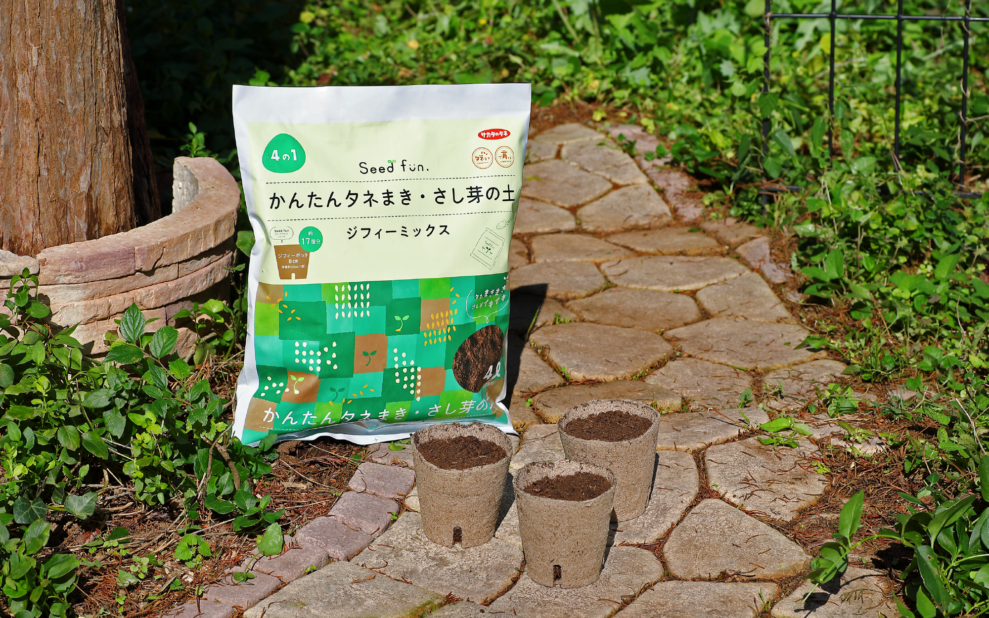 かんたんタネまき・さし芽の土 ジフィーミックス｜種まきをかんたんに