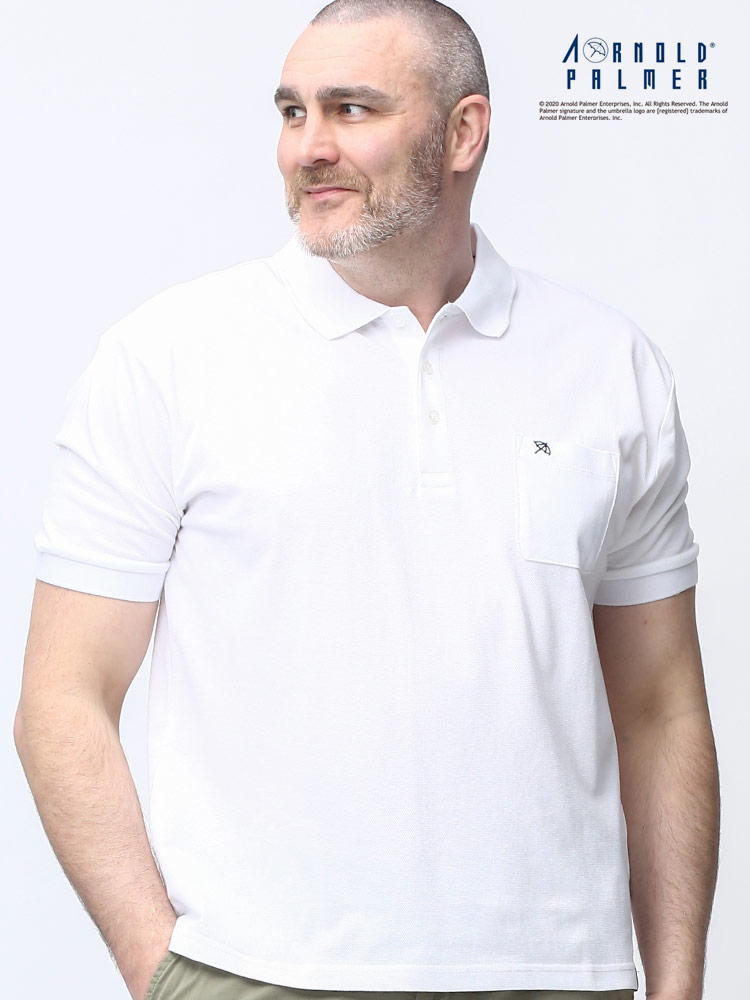 大きいサイズ メンズ Arnold Palmer (アーノルドパーマー) 吸水速乾