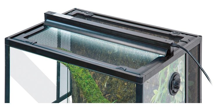 爬虫類用ライトのおすすめ21選。飼育環境を整える便利なライトをご紹介