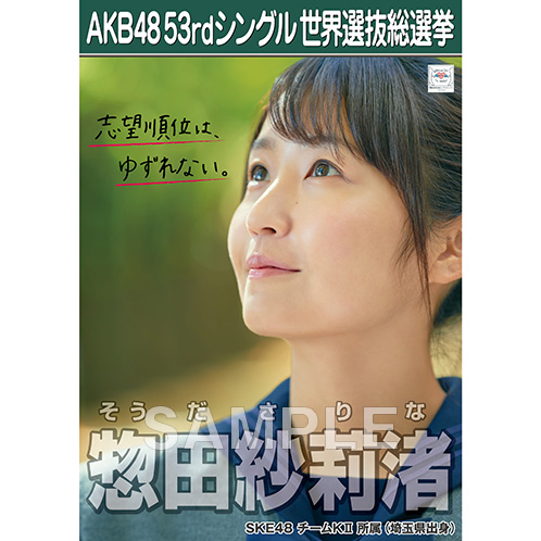 グッズ＞AKB48 53rdシングル 世界選抜総選挙 選挙ポスター | SARINA.NAGOYA