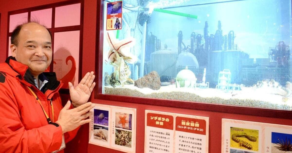 海の生物と特撮怪獣を比べてみよう！マリンワールドで特別展