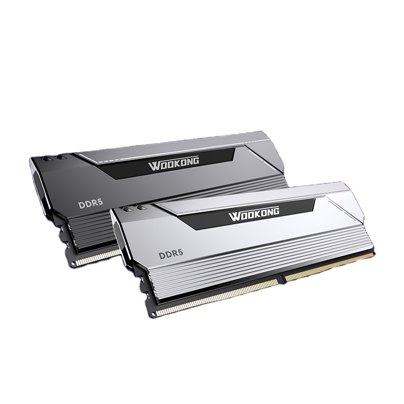 Biwin HX100 32GB (16GB x 2) DDR5 6400MHz ECC Desktop RAM - AMD