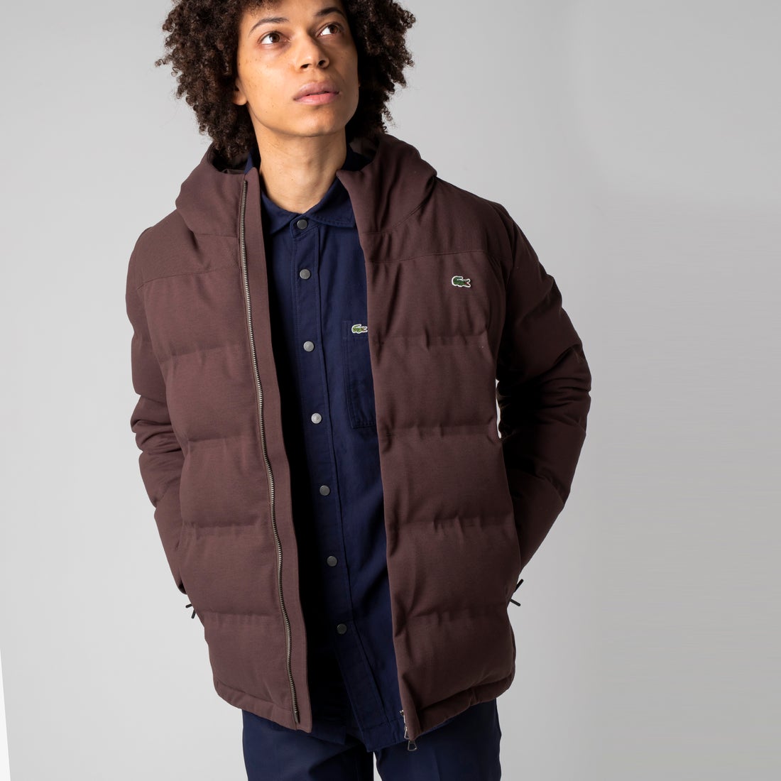 ラコステ LACOSTE ピケダウンジャケット （ブラウン） -アウトレット
