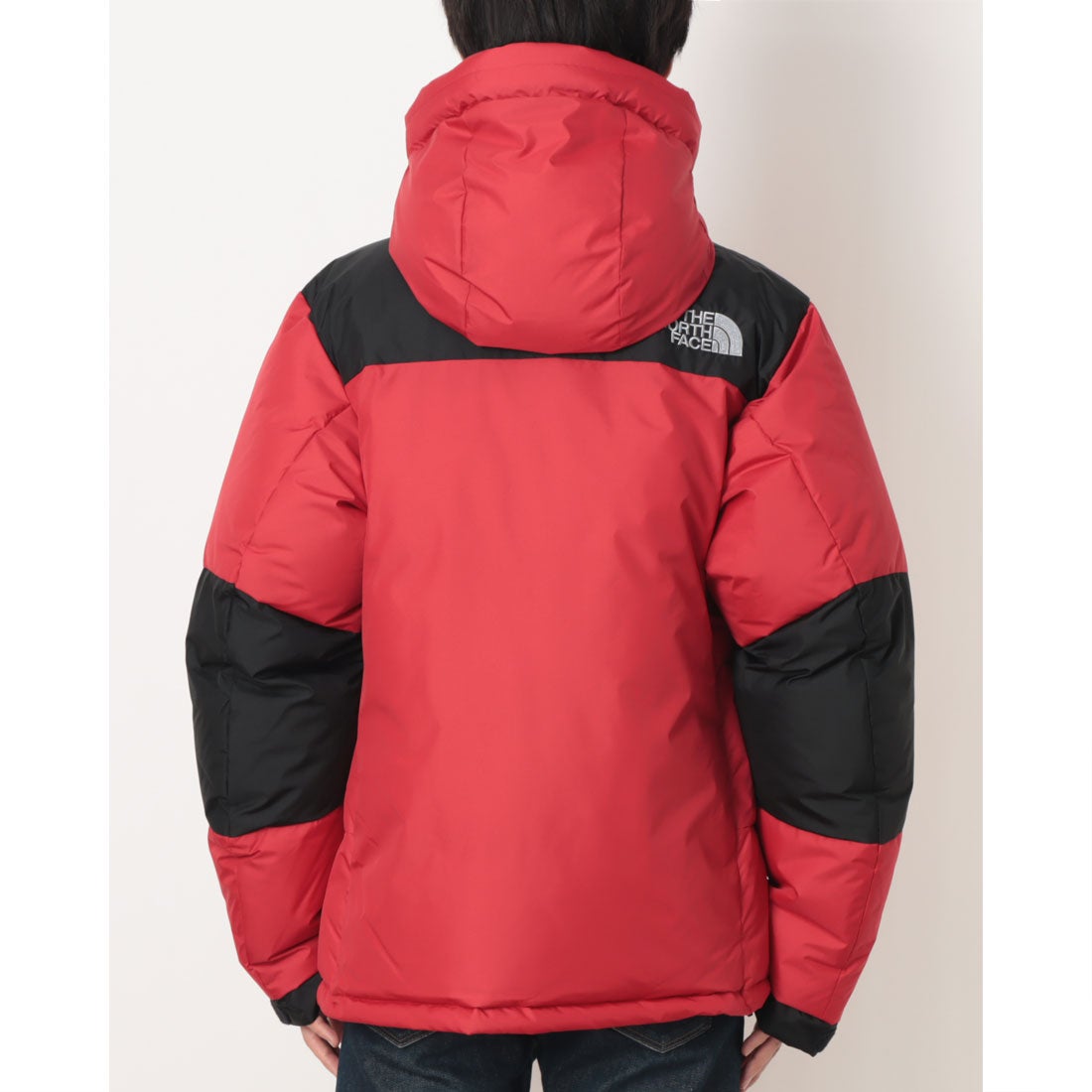 ザ・ノース・フェイス THE NORTH FACE メンズ アウトドアカジュアル