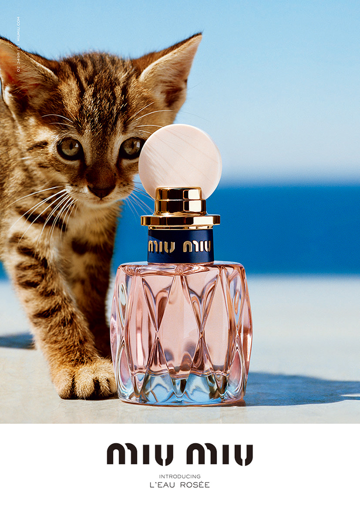 子ネコのように好奇心と冒険心あふれるエネルギッシュな香り♪ 新