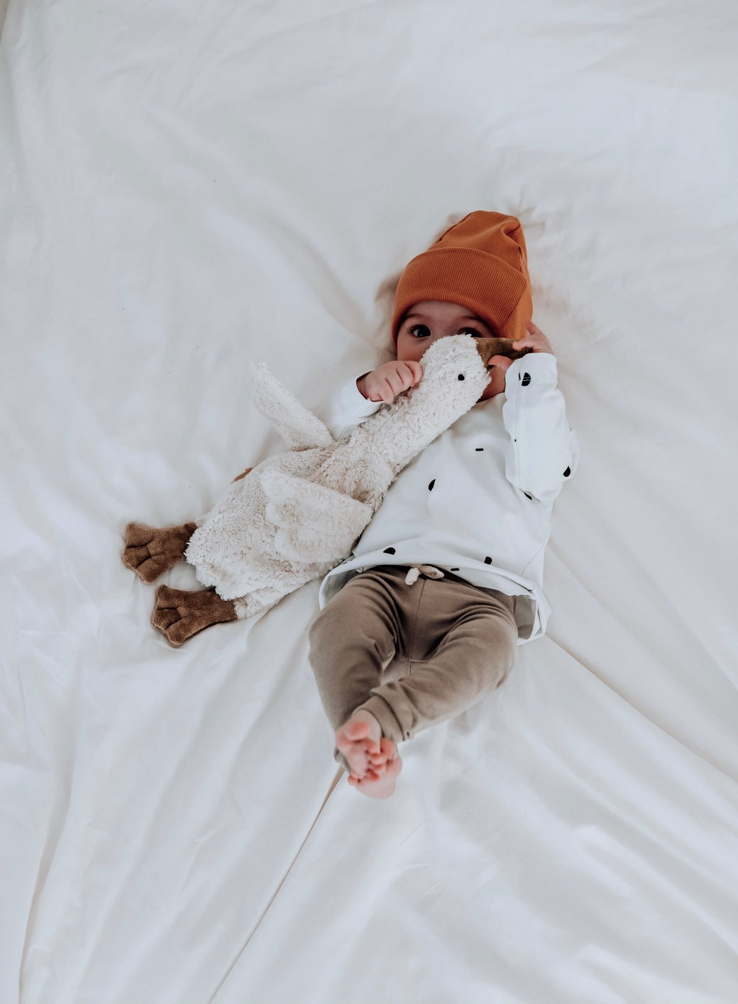 Cuddly Animal Goose ホワイト (S)｜SENGER Naturwelt – SENGER