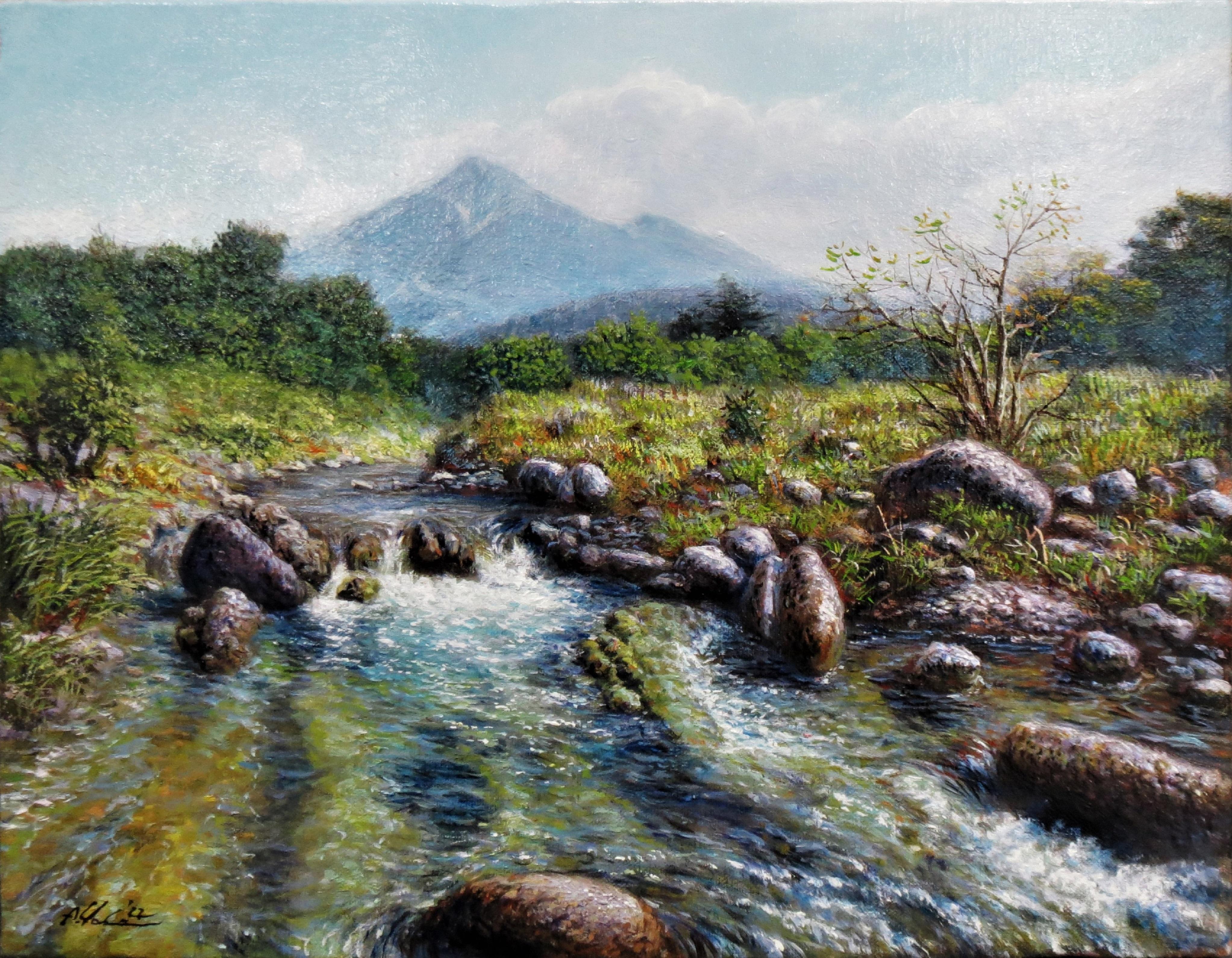 油絵 菅家令子 絵 絵画 インテリア uF6-062203 風景 油絵 菅家令子 絵