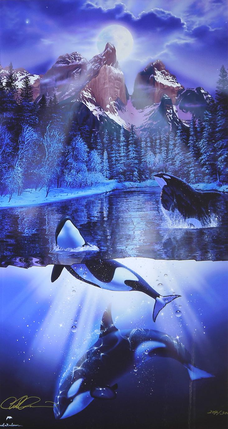 オルカイヴ | ｜正光画廊