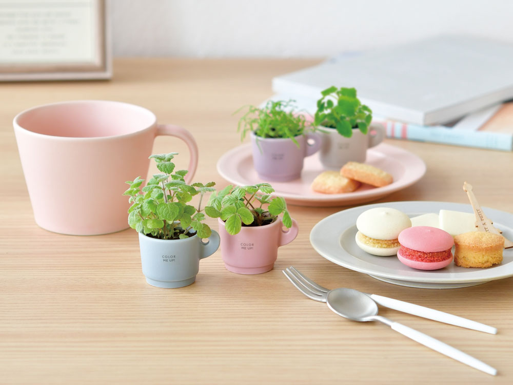 お部屋で楽しむ栽培キット