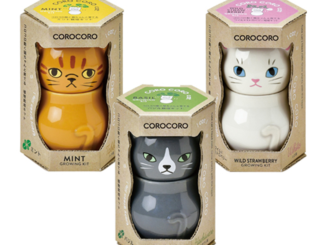 COROCORO cat - 聖新陶芸株式会社｜栽培キットの企画・製造・販売
