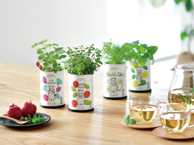 Grow Flaver - 聖新陶芸株式会社｜栽培キットの企画・製造・販売