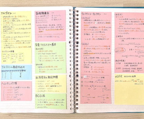 臨床検査技師 国試まとめノート【PDF】公開します これさえあれば