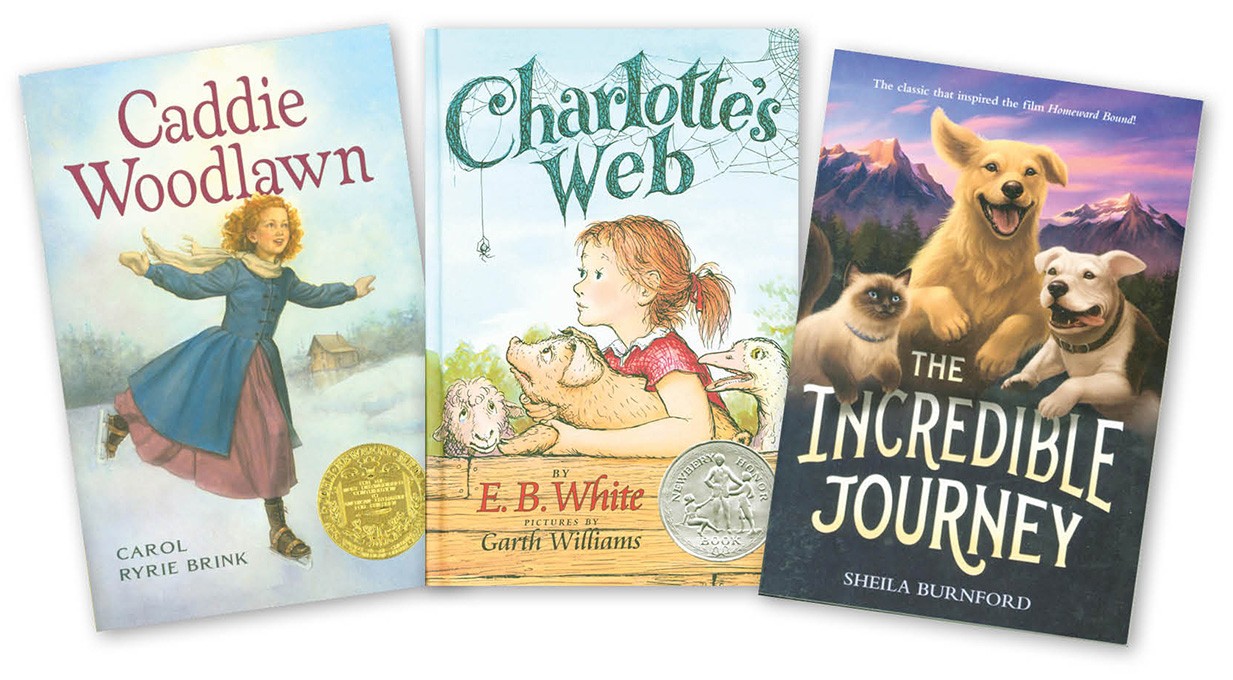 Grade 4 Classic Literature Set