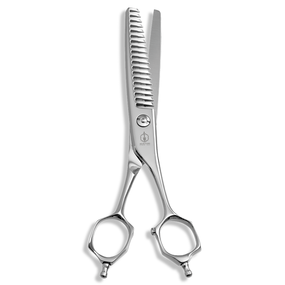 YURAGI 6 | ミズタニシザーズ