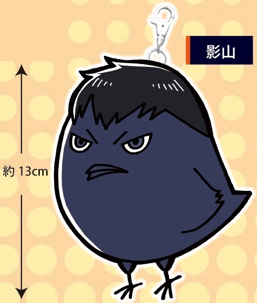 ハイキュー！！ ヒナガラスパスケース 影山｜ホビーの総合通販サイト