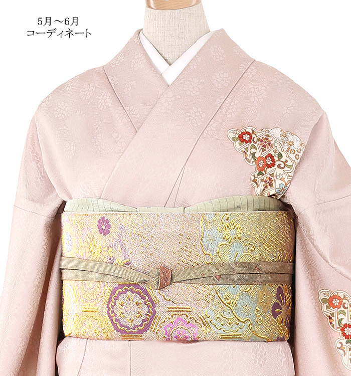 単衣(ひとえ)訪問着 No.AC-1076-Lサイズのレンタル｜きもの365